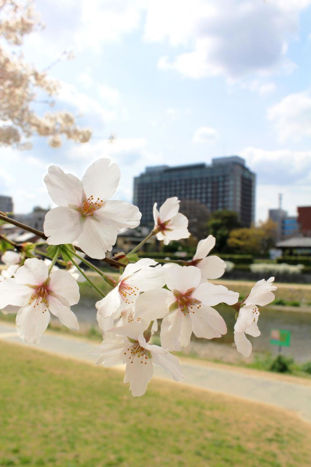 Hotel Okura Kyoto photo 4