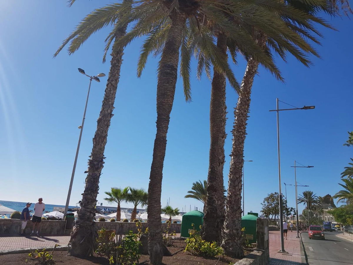 Bungalows Bahamas beside the park and 300m to the beach in Puerto Rico de Gran Canaria, ES