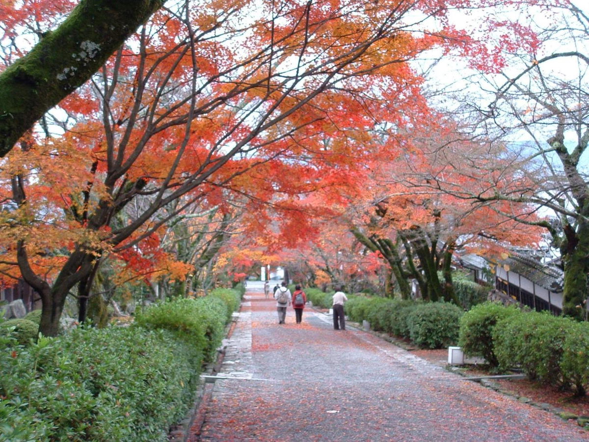Lake Biwa Otsu Prince Hotel photo 2