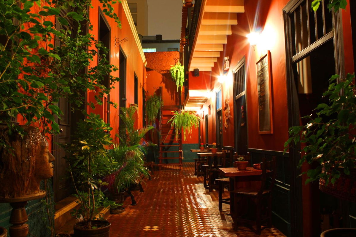 KACLLA, Urban Lodge - The Healing Dog Experience in Lima, PE