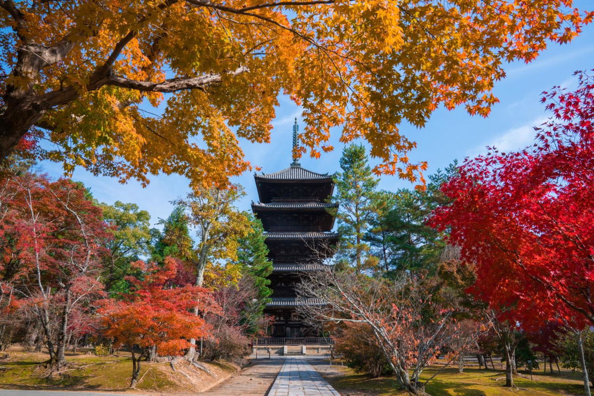 Hotel Grand Bach Kyoto Select photo 5