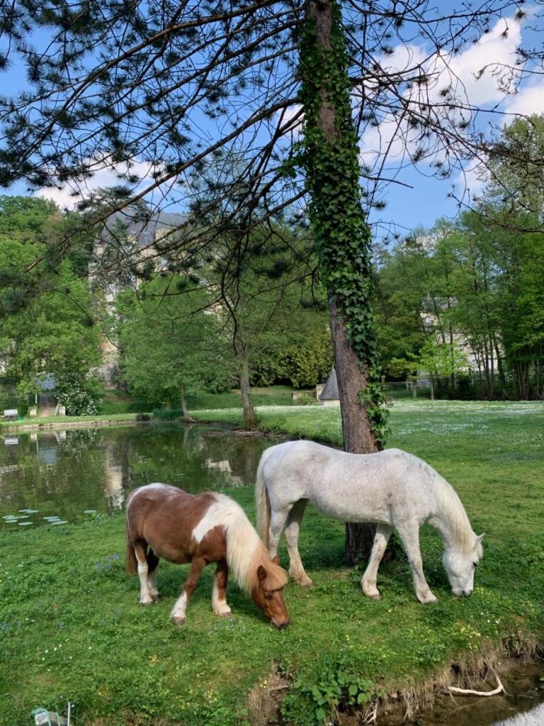 Gite La Suite Ducale Chateau La Roche Racan photo 4