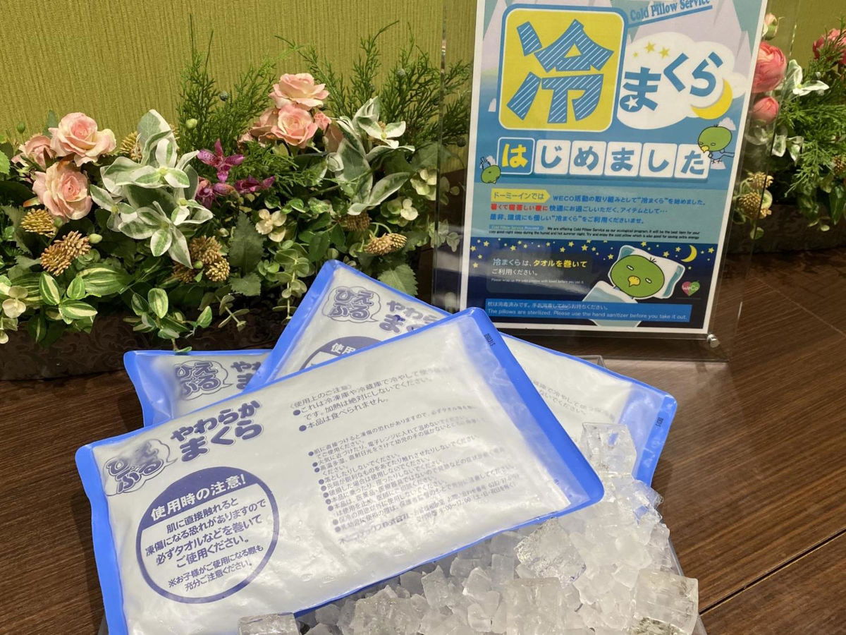 Dormy Inn Premium Wakayama Natural Hot Spring photo 4