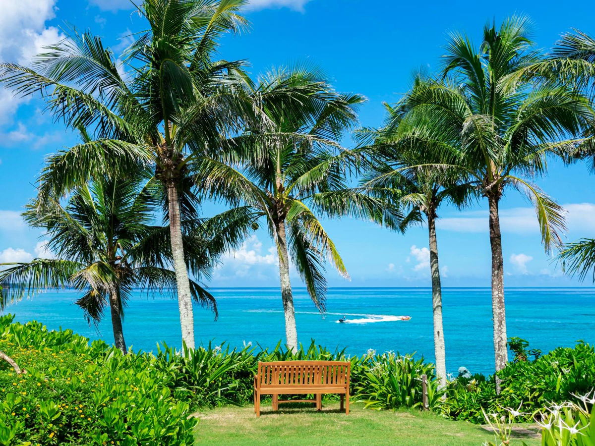 HOTEL MOON BEACH MUSEUM RESORT photo 4