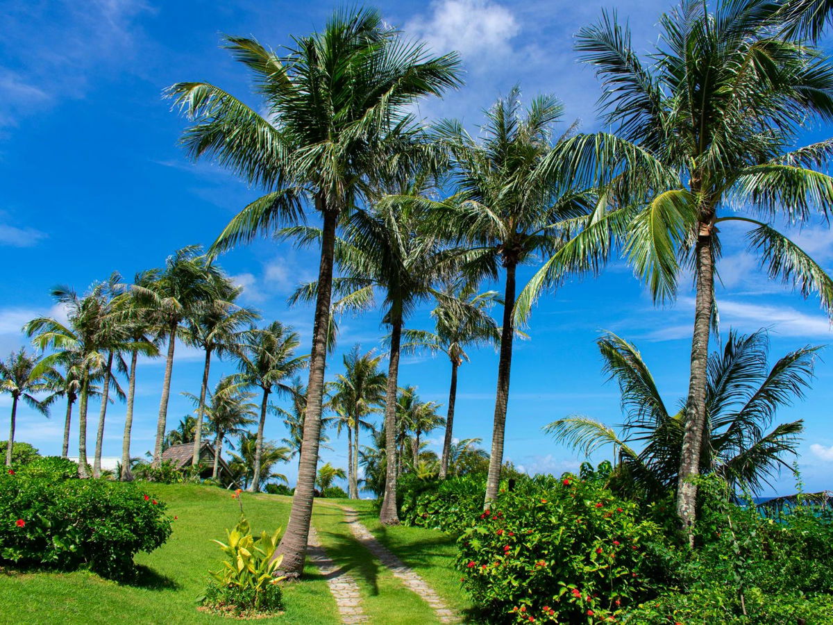 HOTEL MOON BEACH MUSEUM RESORT photo 2