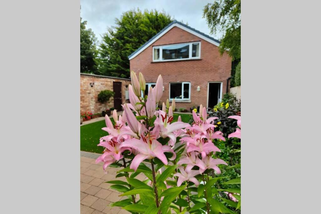 BT 9 Granny Flat & walled garden photo 3