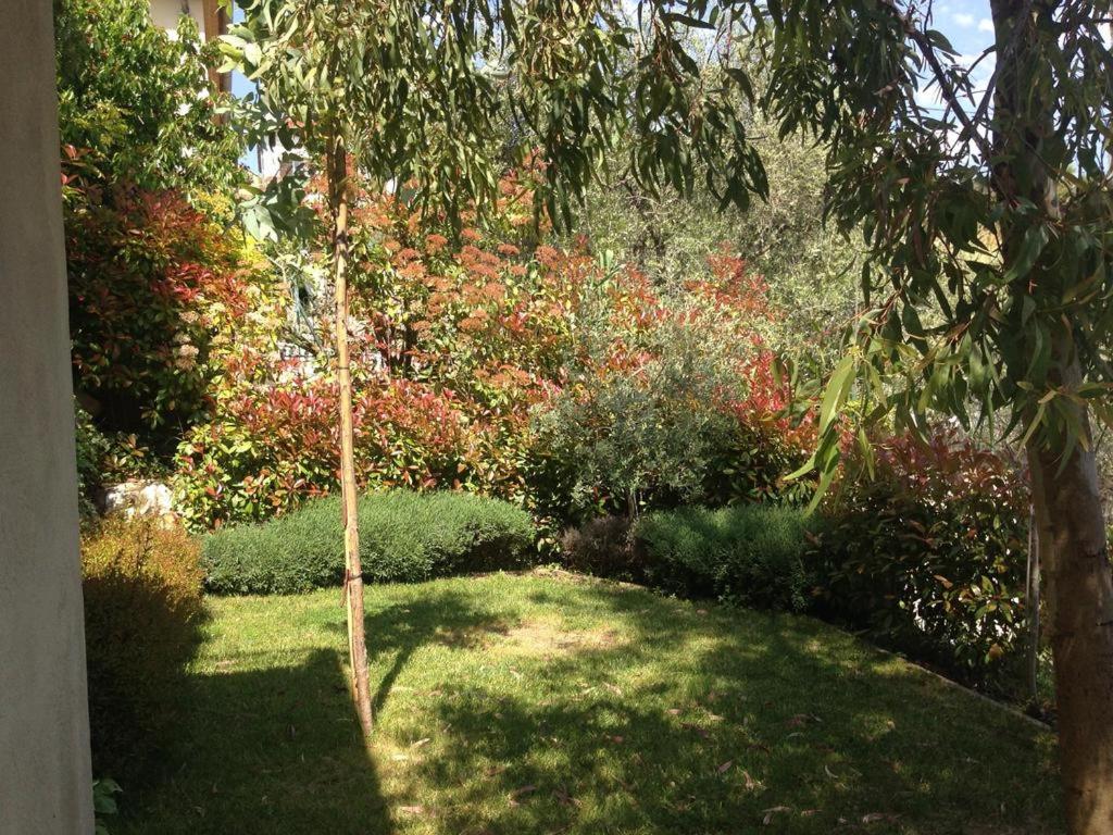 Villa 5* Nice St Pancrace photo 3