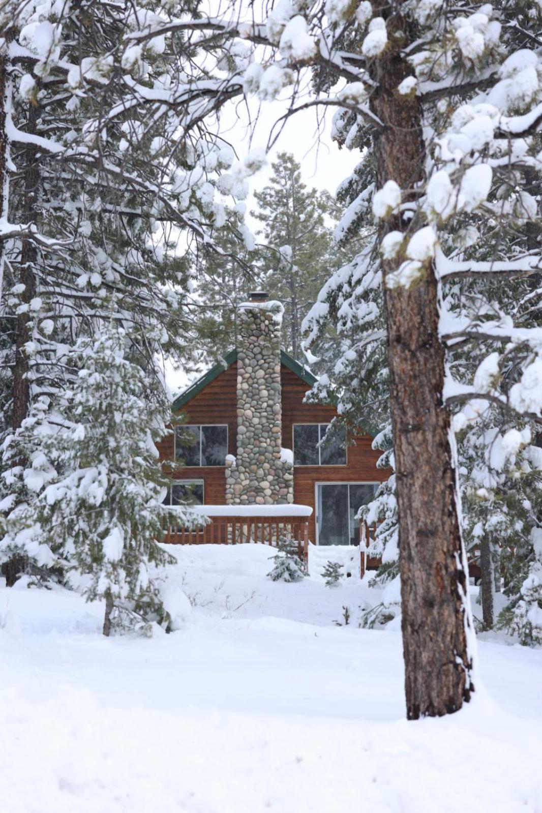 Cabin in the National Forest near Brian Head, Bryce Canyon and Zion in Duck Creek Village, US