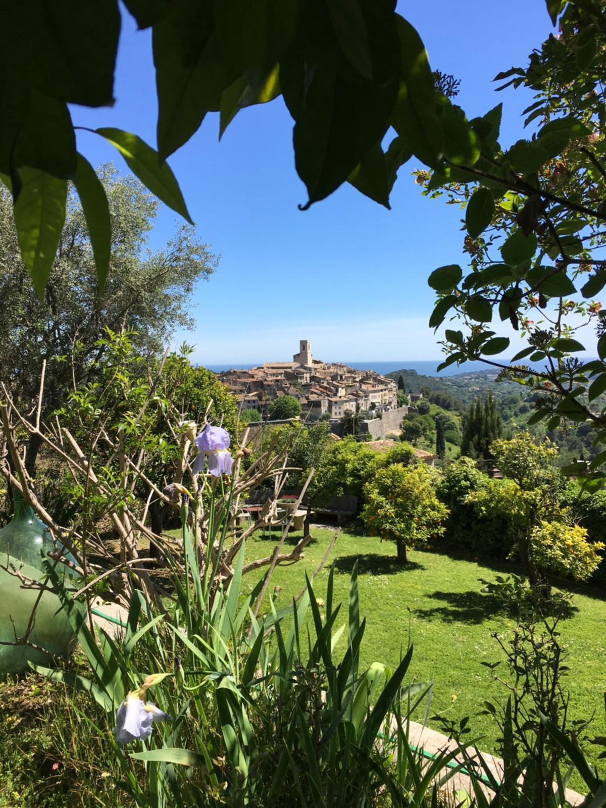 La Petite Maison photo 3