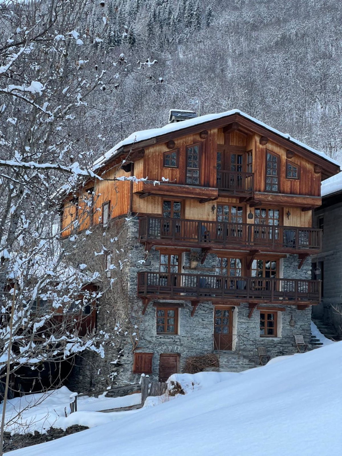 Chalet Altus in Sainte-Foy-Tarentaise, FR