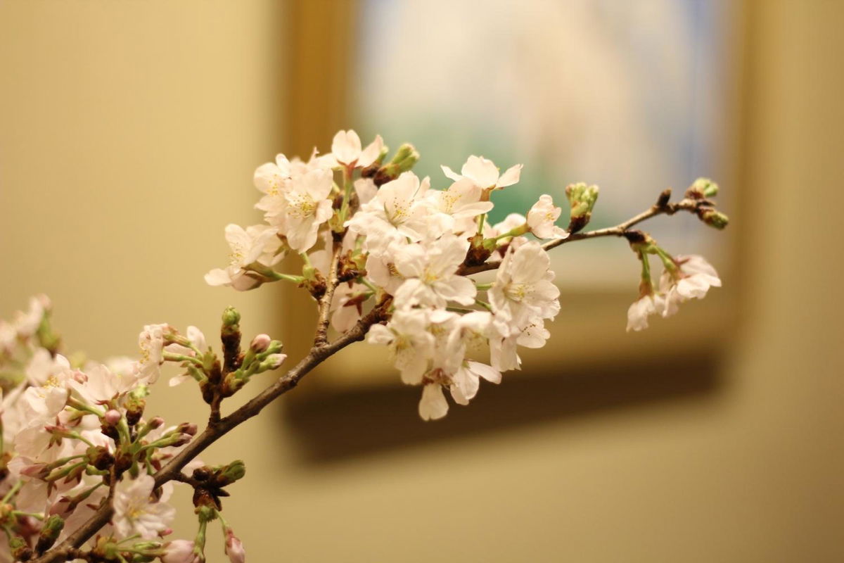 THE KITANO HOTEL TOKYO photo 3