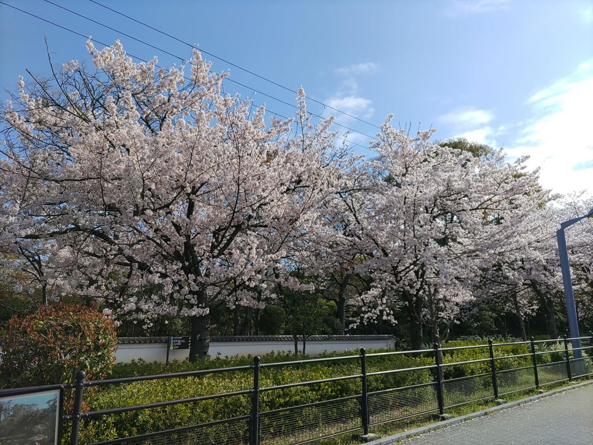 Hiyori Hotel Osaka Shinsekai photo 4