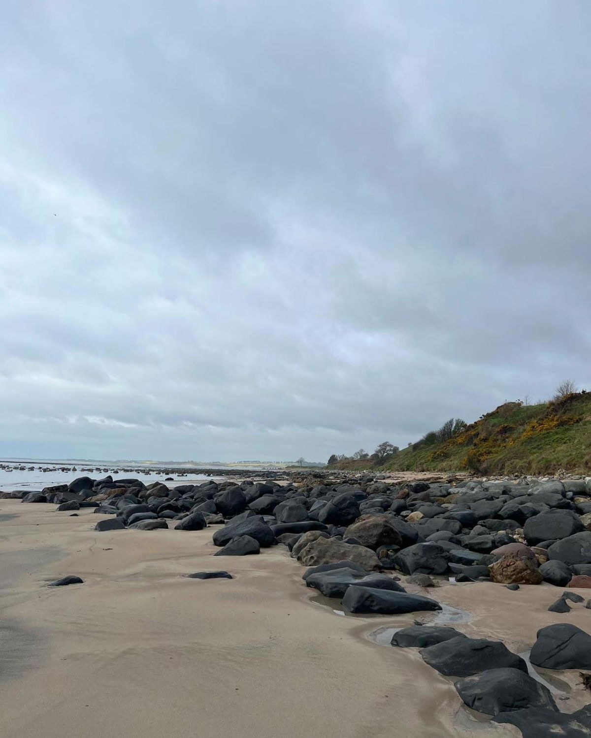 The Red Lion Inn Alnmouth photo 2
