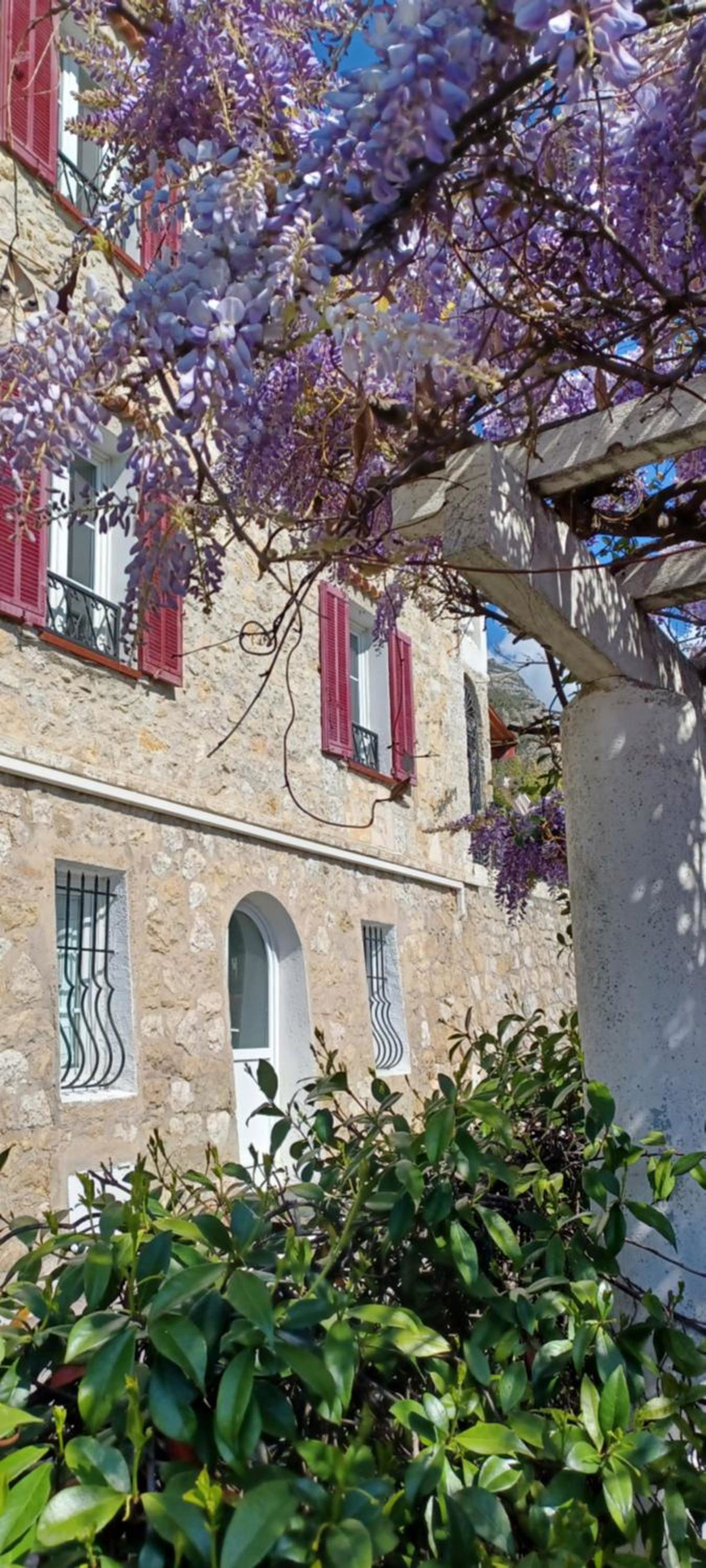 La cigale in Gourdon, FR