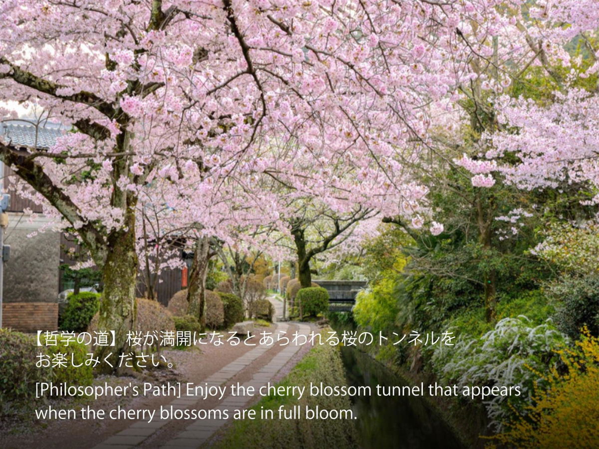 Hotel Resol Trinity Kyoto photo 4