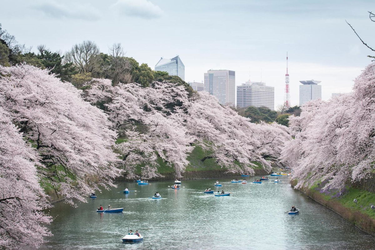 Shangri-La Tokyo photo 2