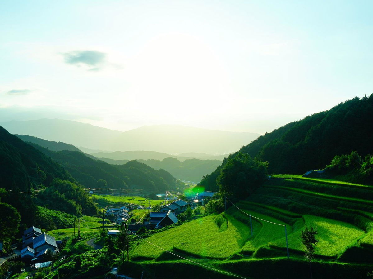 Grand Mercure Nara Kashihara photo 4