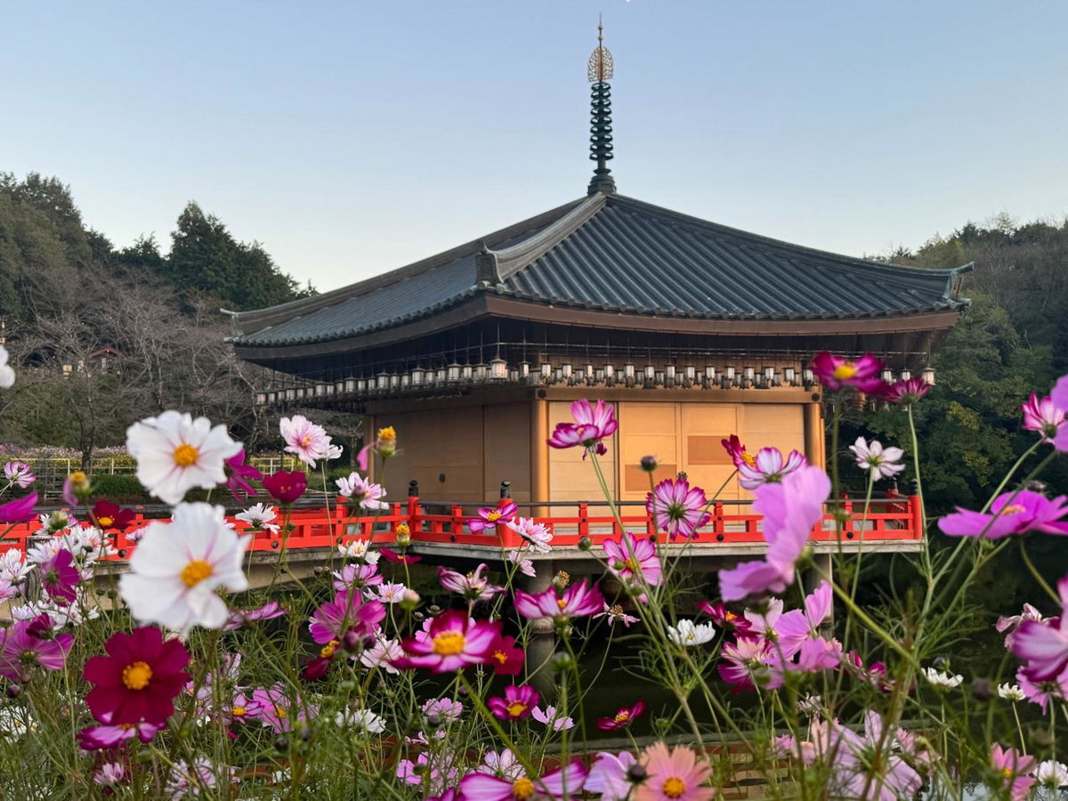 Grand Mercure Nara Kashihara photo 5