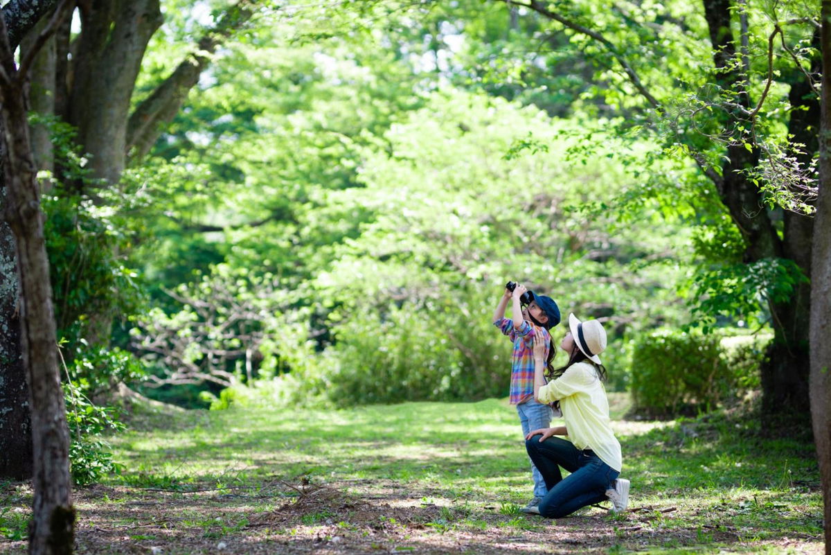 Grand Mercure Minamiboso Resort & Spa photo 3