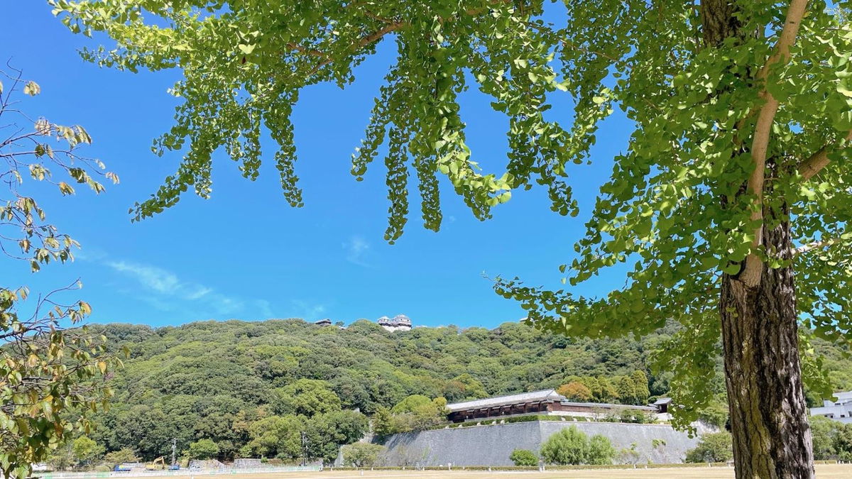 REF Matsuyama City Station by VESSEL HOTELS photo 2
