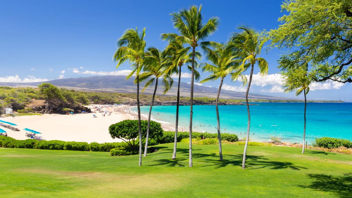 ❤PiH❤Aloha Spirit Large Private Heated Pool Spa Resort Pool Waterslide Passes Bikes and eBikes photo 3