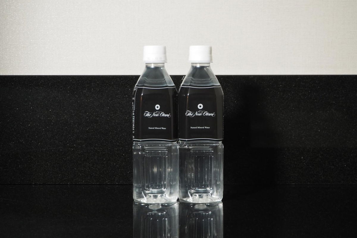 Hotel New Otani Tokyo The Main photo 5