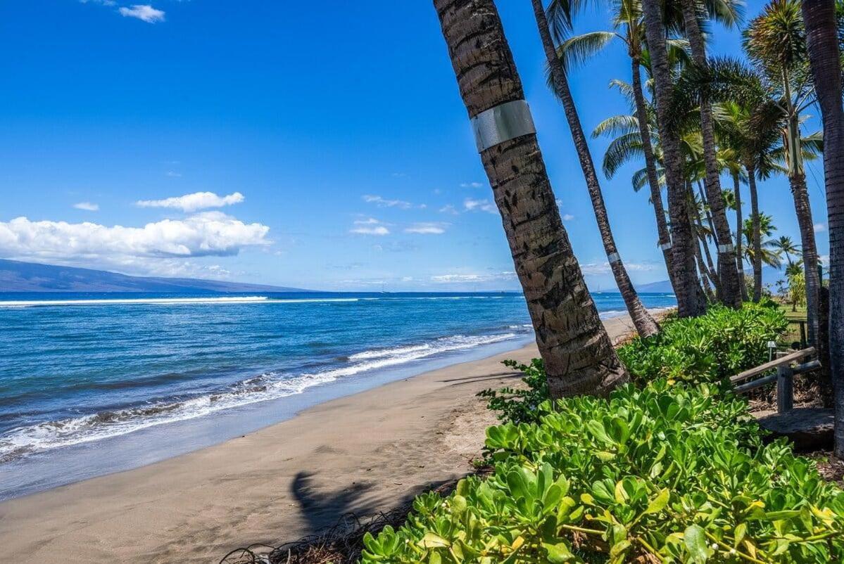 Lahaina Shores 507 · LS 507 West Maui Studio with Stunning Ocean photo 5