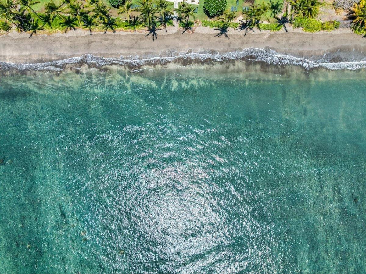 Lahaina Shores 507 · LS 507 West Maui Studio with Stunning Ocean photo 4