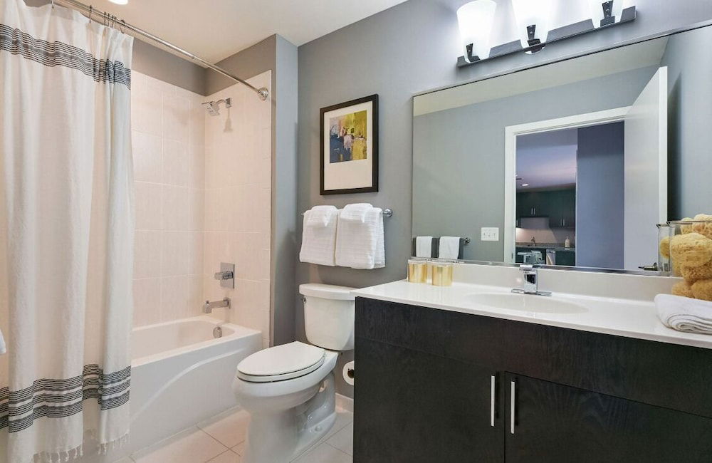Luxury Apartment in heart of Reston 2 bedroom  photo 3