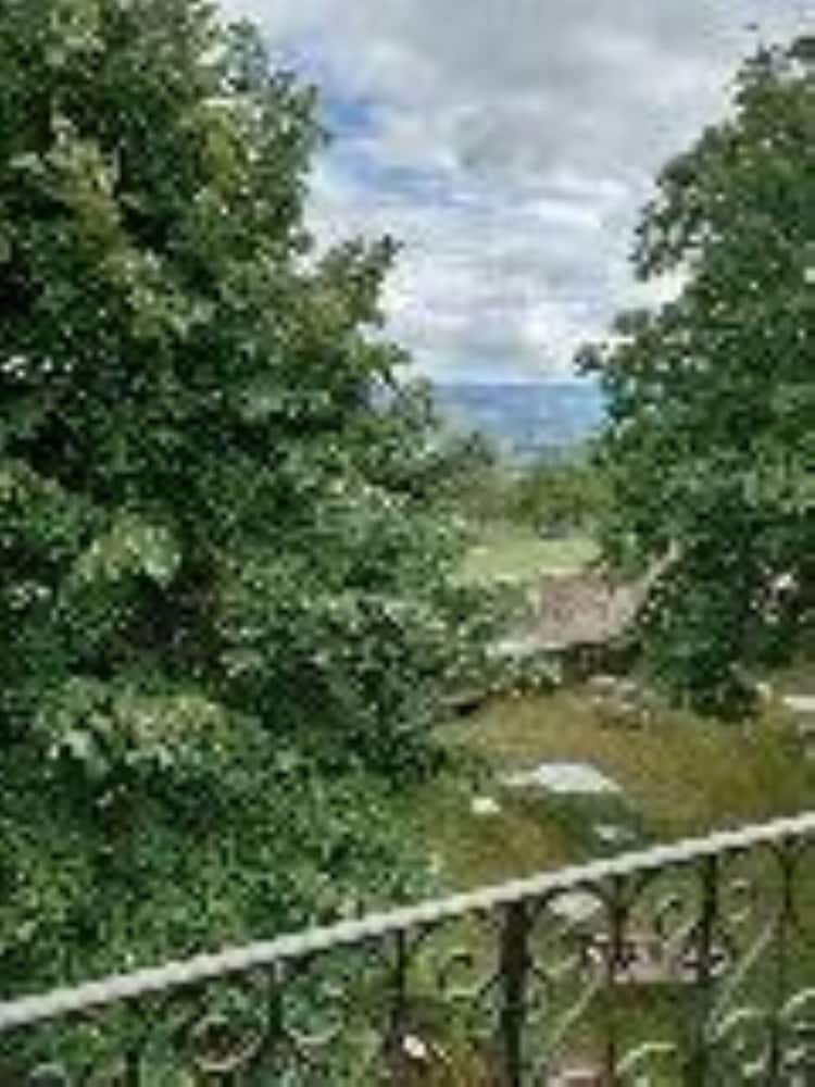 Château de Riverie photo 3