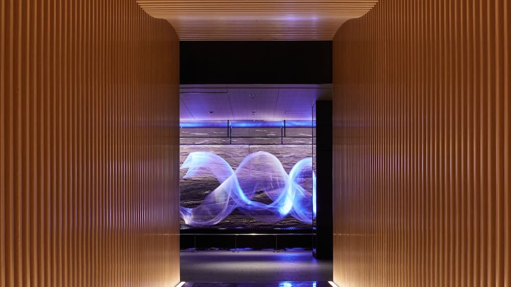 THE THOUSAND KYOTO photo 5