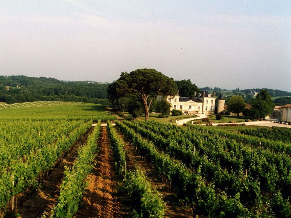 La France - Gite Château photo 3