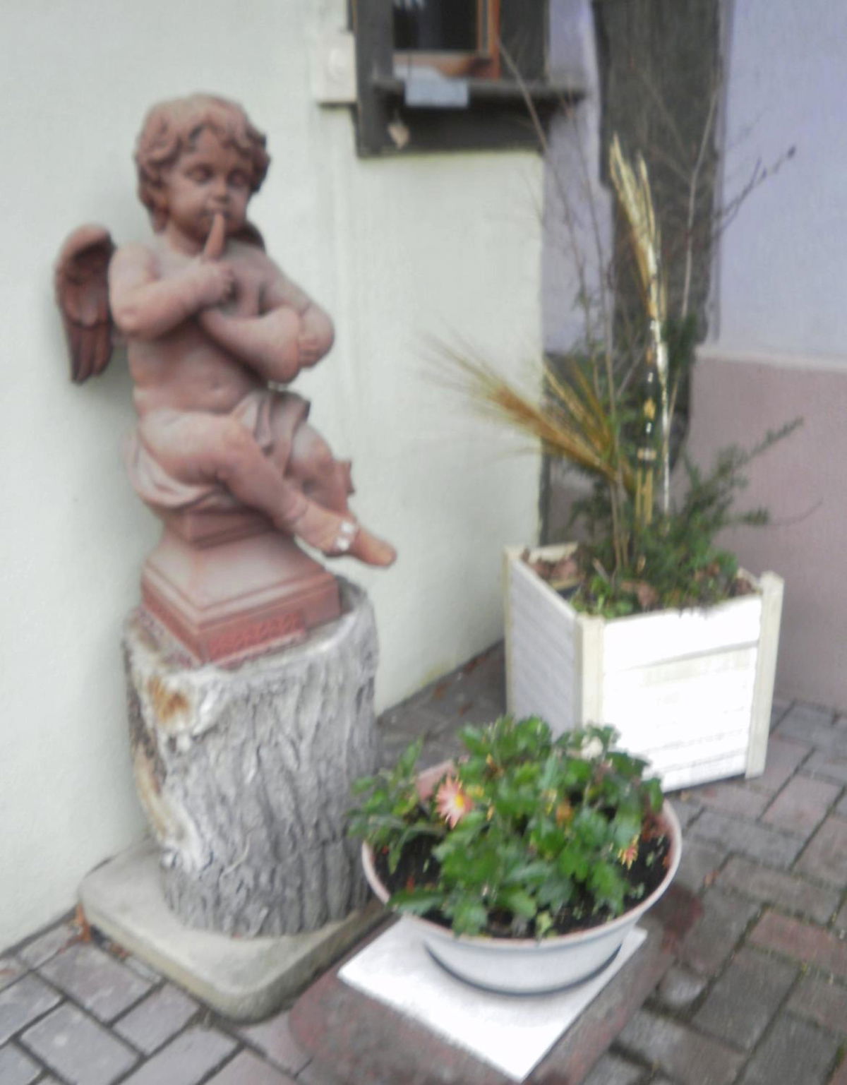 Gites Petermann photo 2
