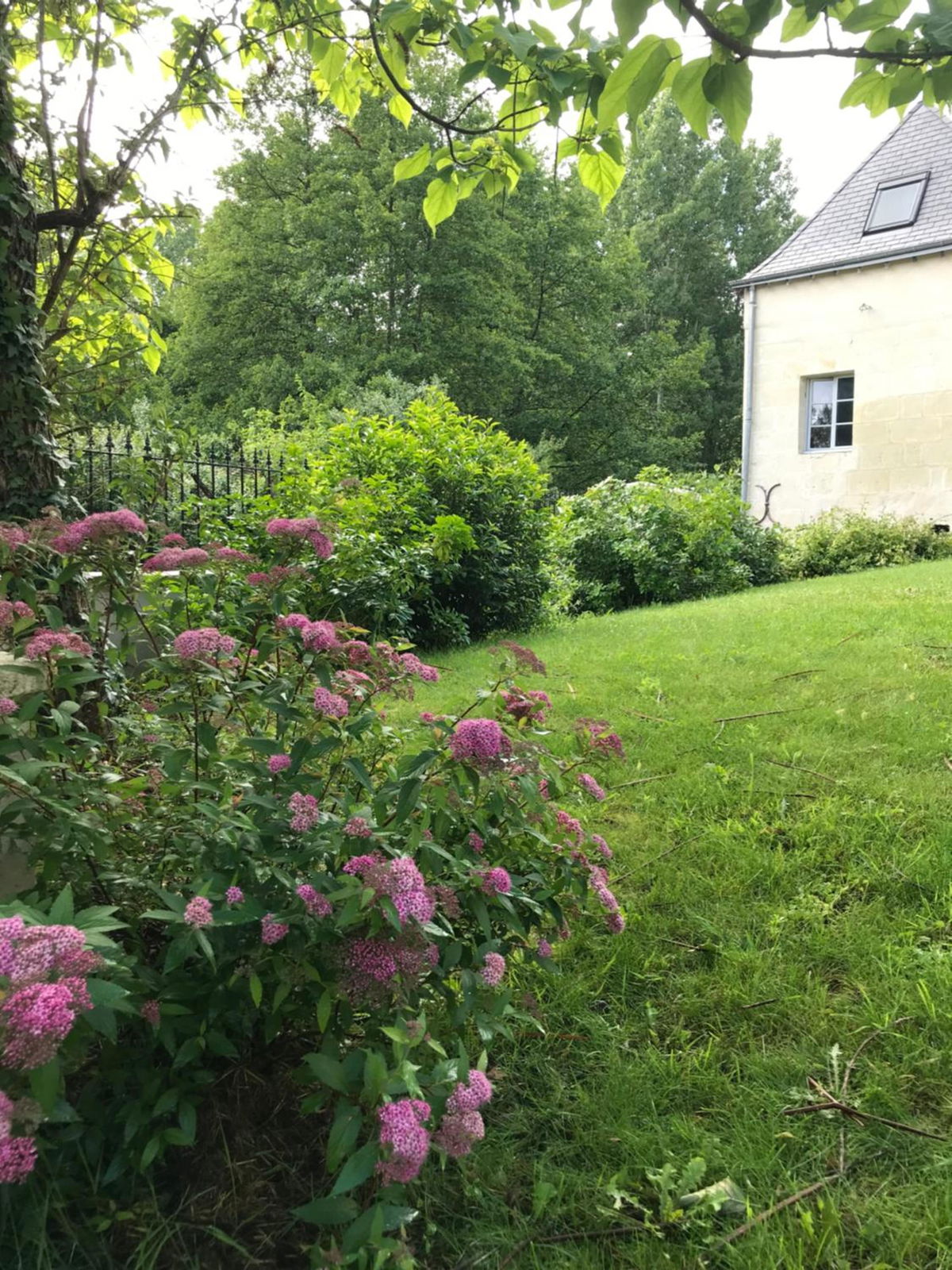 Gite Nature Loire et Châteaux 3* photo 4