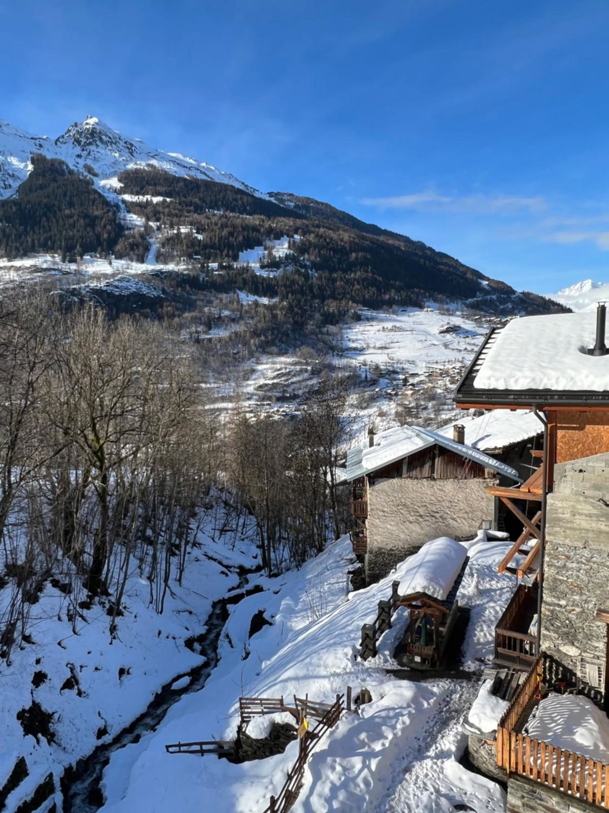 Chalet Altus photo 2
