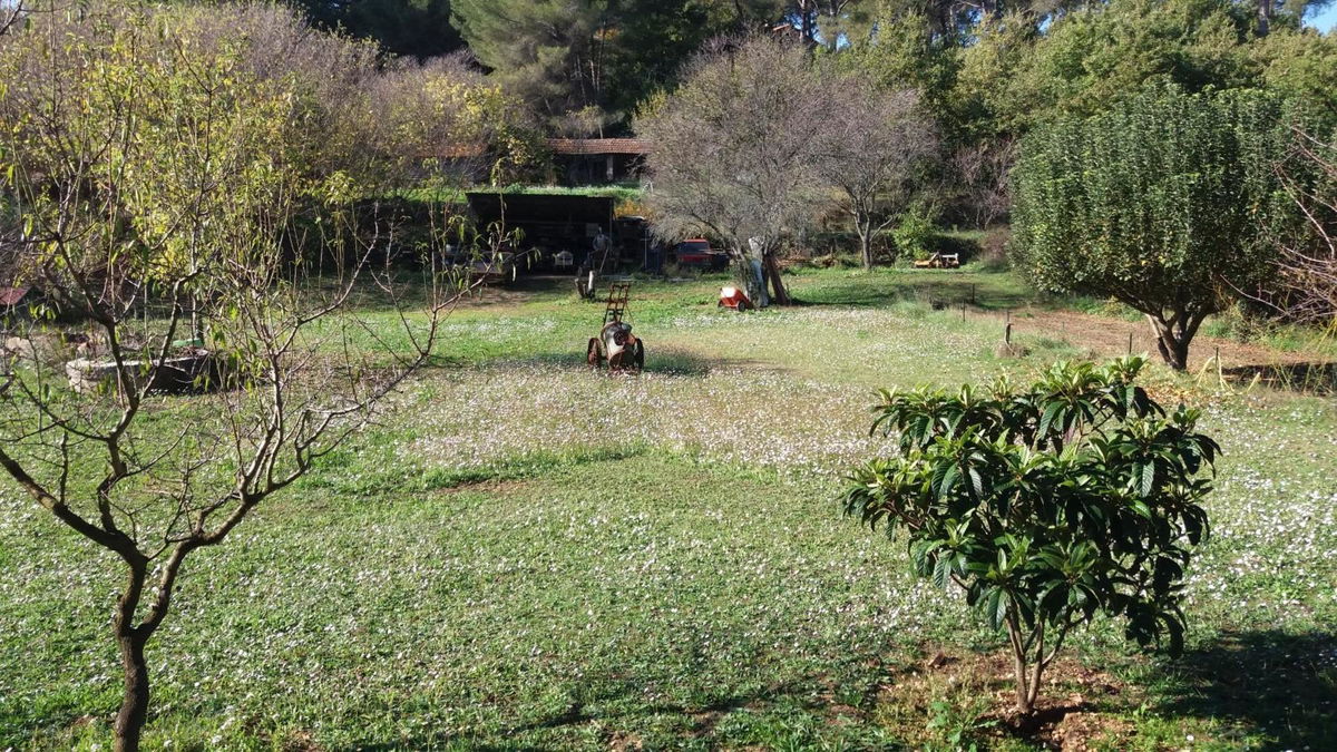le Mas du Pin Vert photo 3